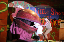 Little Shop of Horrors 55